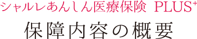 保障内容の概要