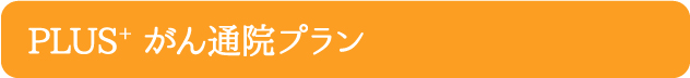 PLUS+  がん通院プラン