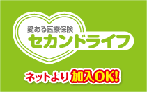 セカンドライフ