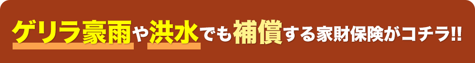 ゲリラ豪雨や洪水でも補償する家財保険がコチラ！！