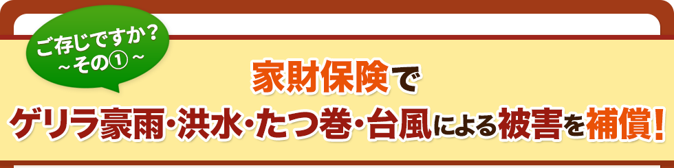 ご存じですか？その1「家財保険でゲリラ豪雨・洪水・たつ巻・台風による被害を補償！」
