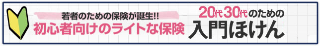 若者のための保険が誕生！！初心者向けのライトな保険「20代30代のための入門ほけん」新発売