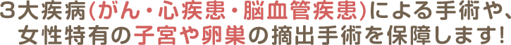 3大疾病(がん・心疾患・脳血管疾患)による手術や、女性特有の子宮や卵巣の摘出手術を保障します!