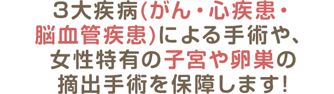 3大疾病(がん・心疾患・脳血管疾患)による手術や、女性特有の子宮や卵巣の摘出手術を保障します!