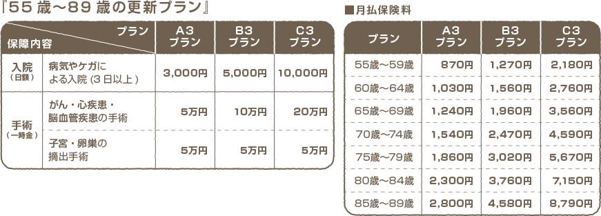 55歳〜89歳の更新プラン